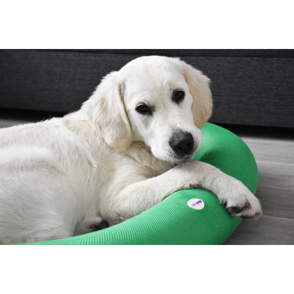 Comfort Bed for Dogs & Cats – Ideal for Seniors and Recovery
